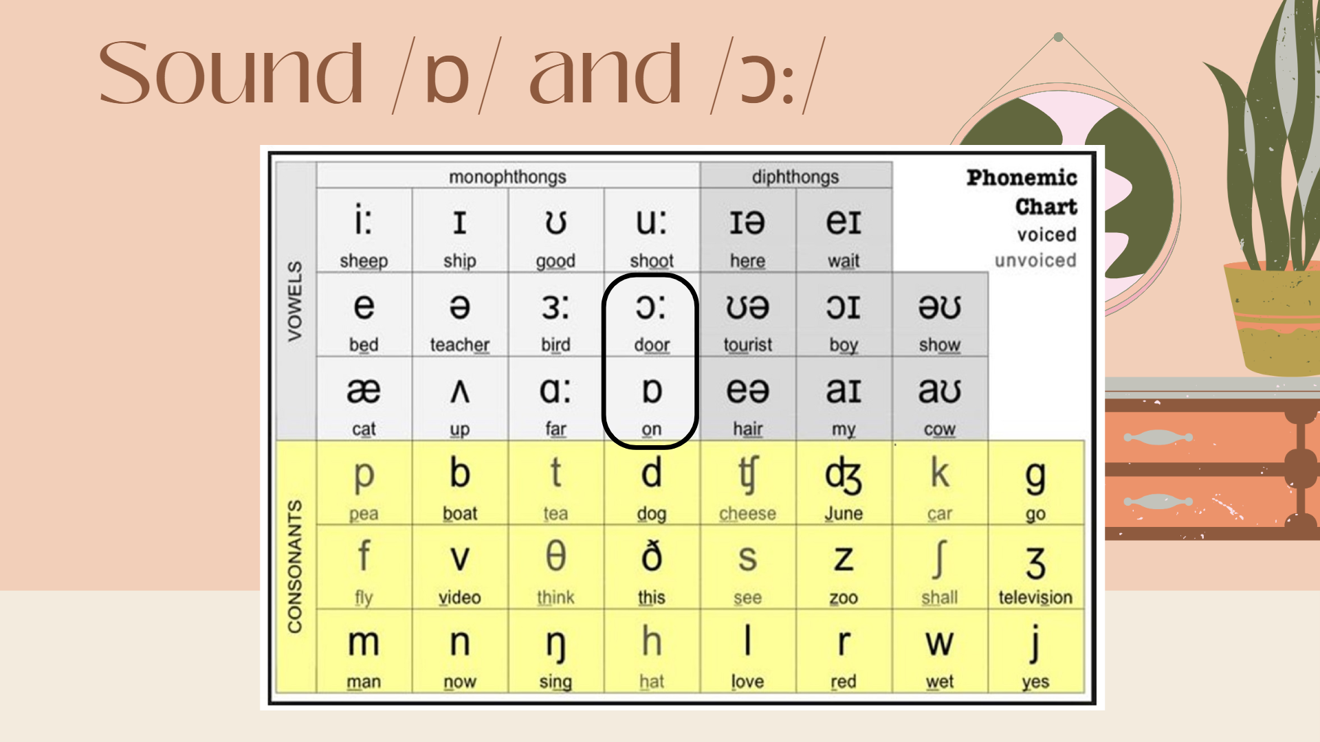 2.2 Learn IPA by your own